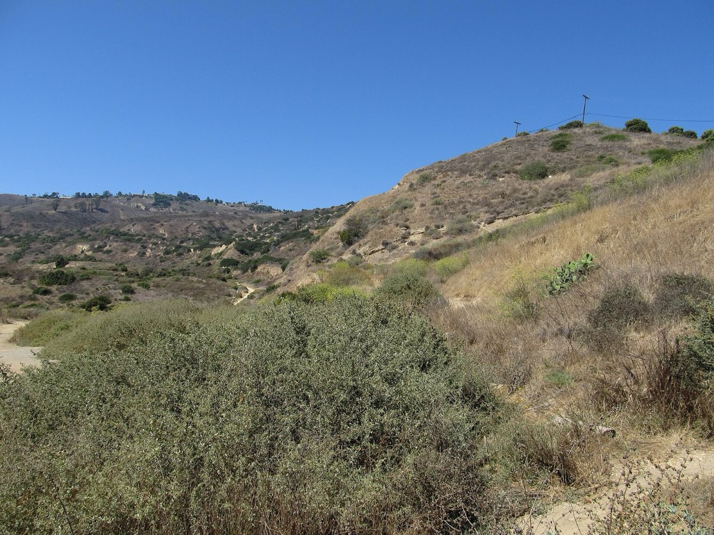 The Portuguese Bend coastline of Rancho Palos Verdes